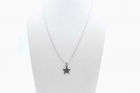 Stainless Steel Star Necklace