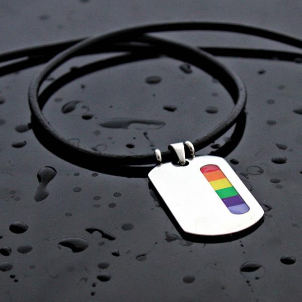 Rainbow Tag Stainless Steel & Leather Choker