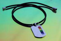 Rainbow Tag Stainless Steel & Leather Choker