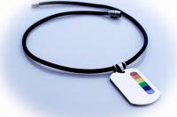 Rainbow Tag Stainless Steel & Leather Choker