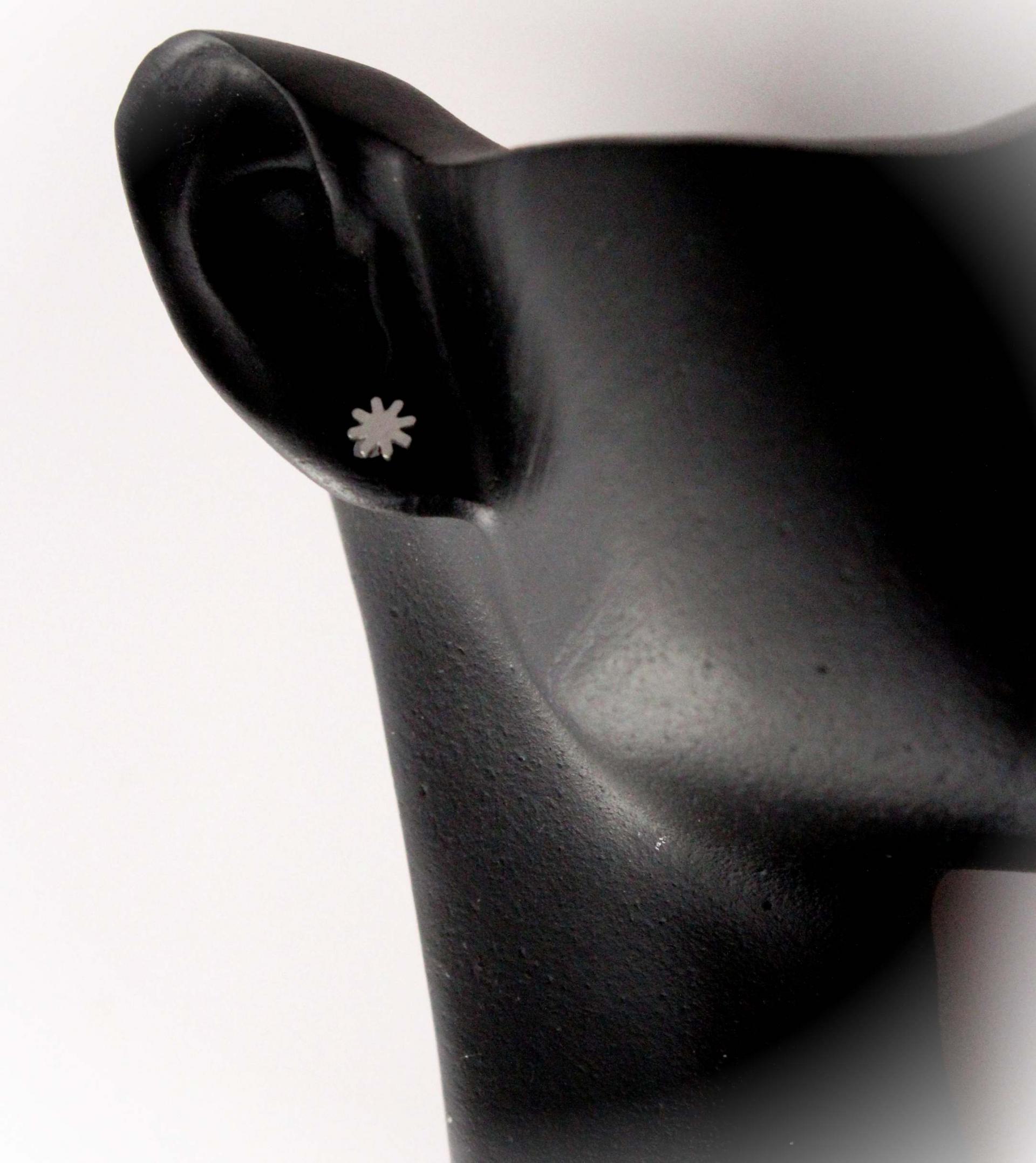 Bioplast Labret with Stainless Steel Sun Design