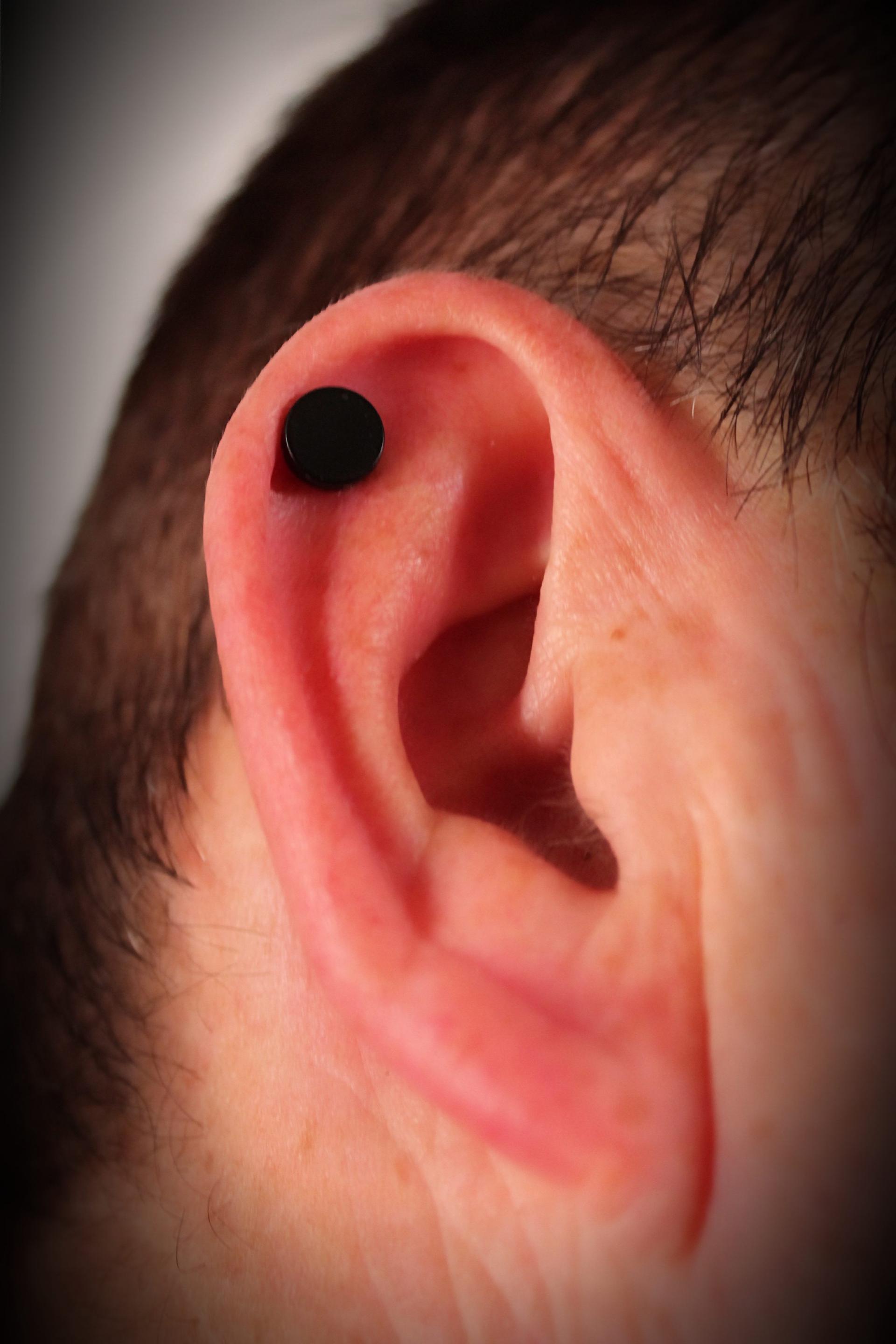 Magnetic Fake Ear Plugs - Sleek Black Circle Plugs