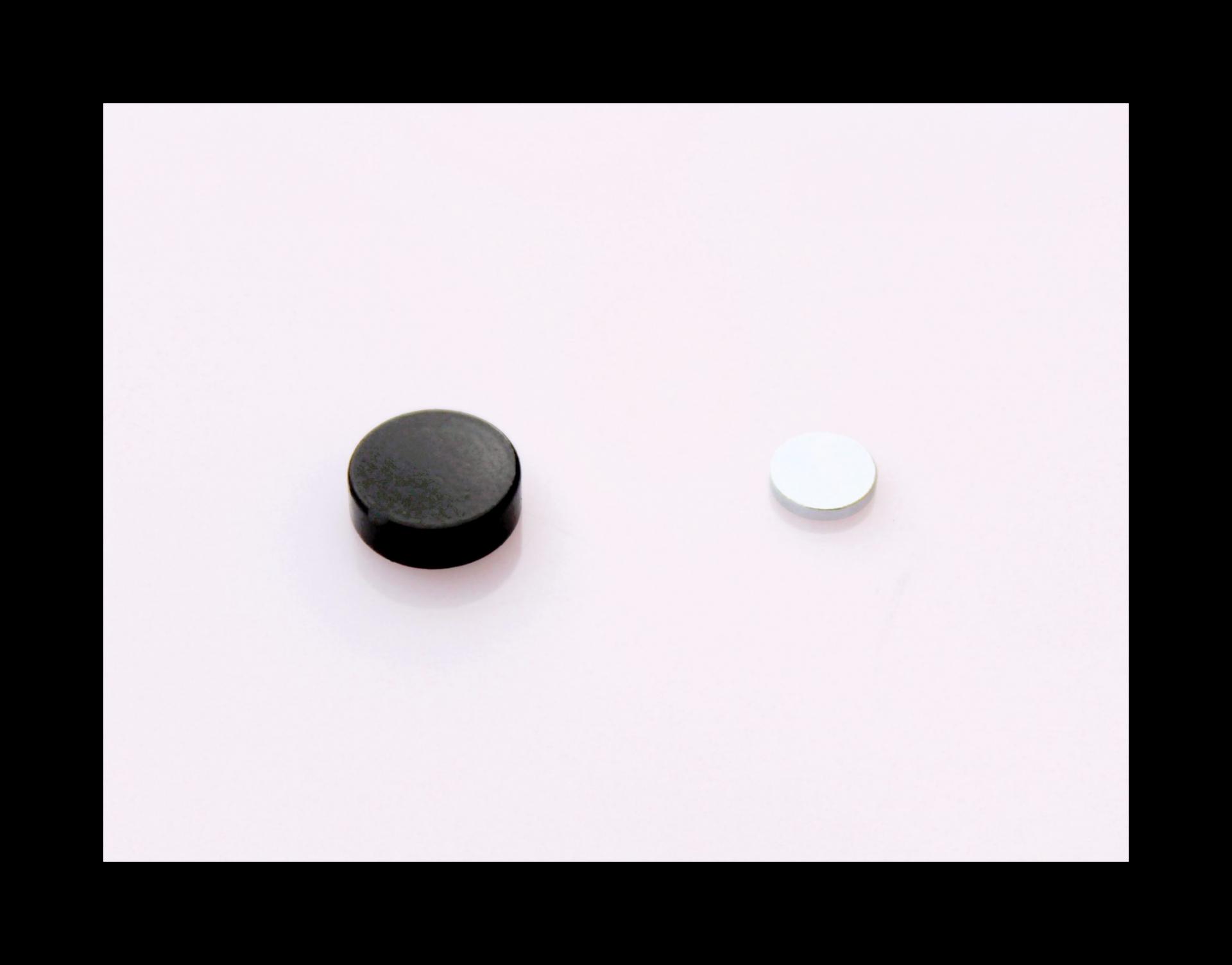 Magnetic Fake Ear Plugs - Sleek Black Circle Plugs