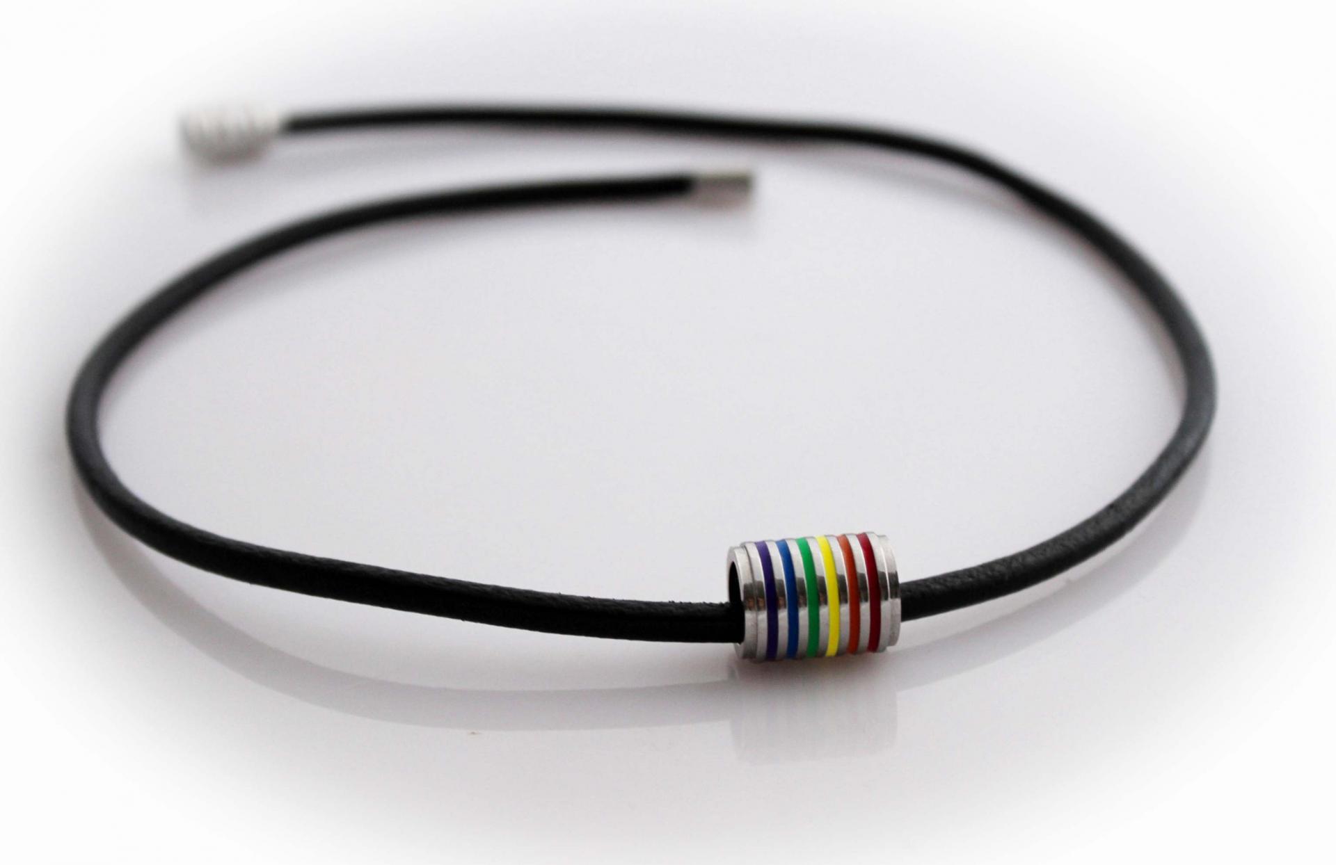 Rainbow Flag Stainless Steel Tube and Leather Choker