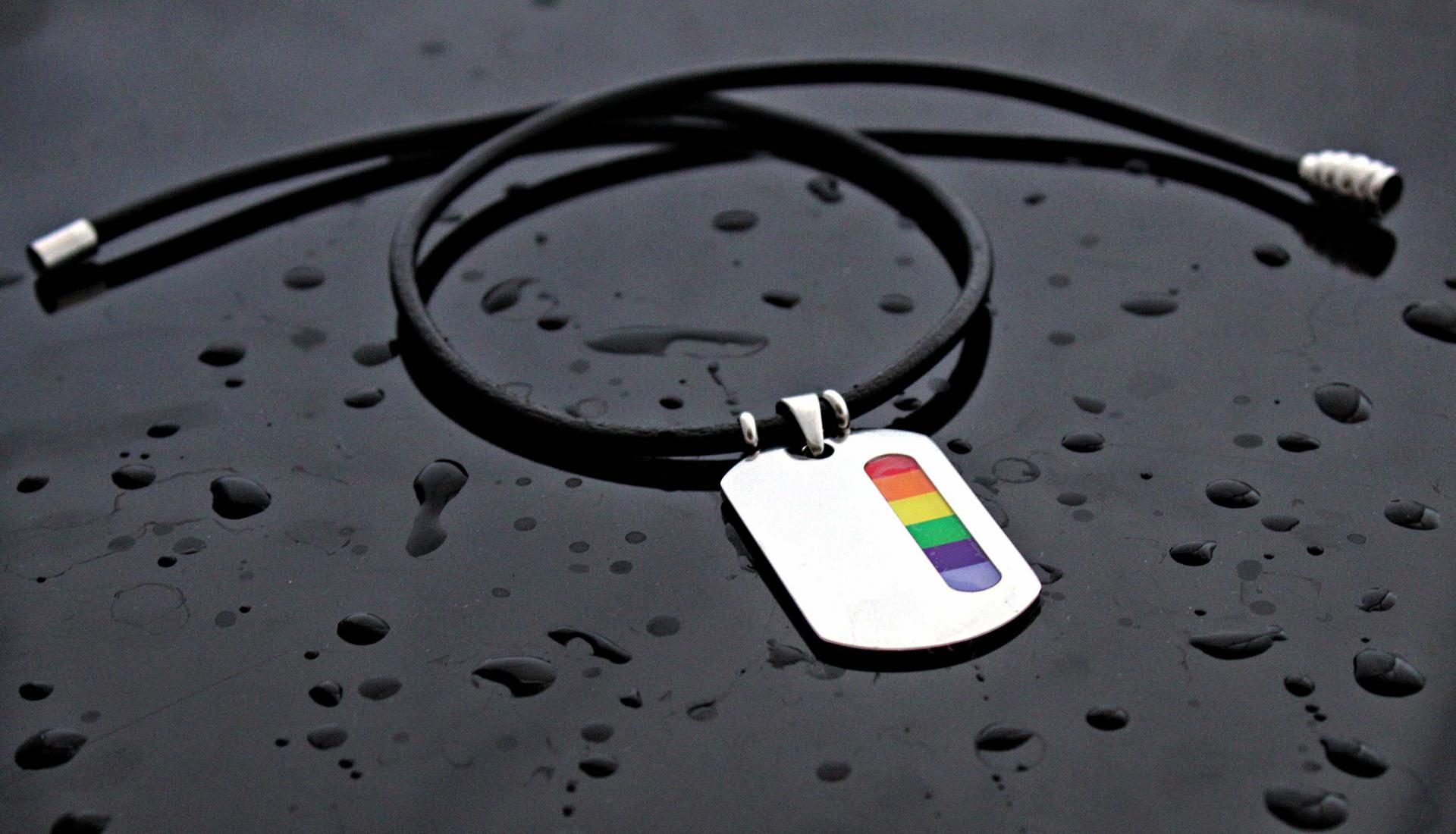 Rainbow Tag Stainless Steel & Leather Choker