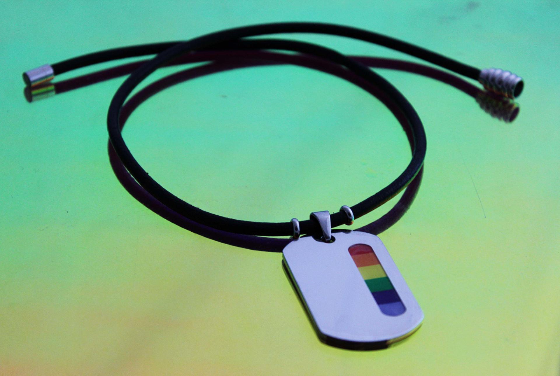 Rainbow Tag Stainless Steel & Leather Choker