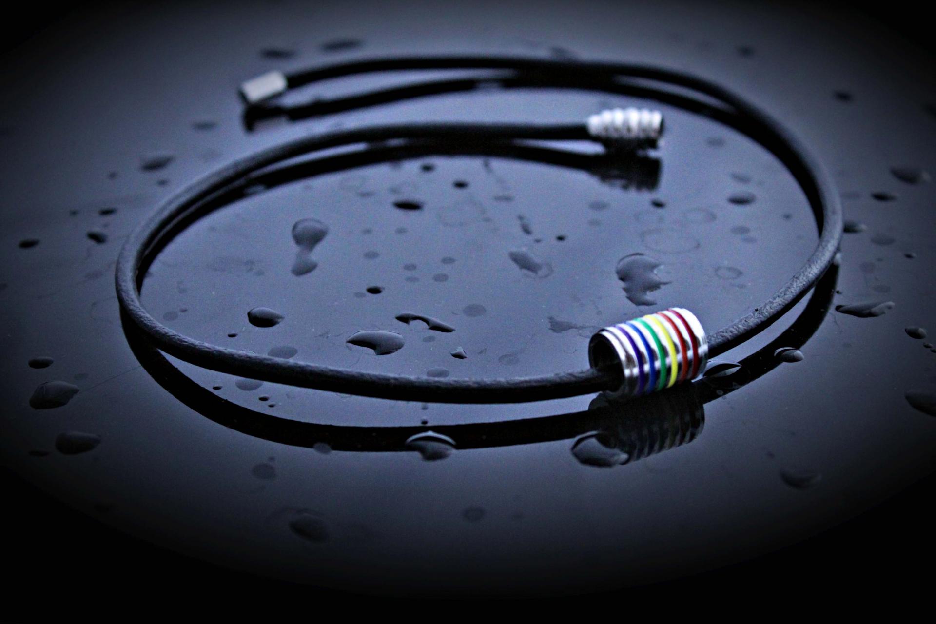 Rainbow Flag Stainless Steel Tube and Leather Choker