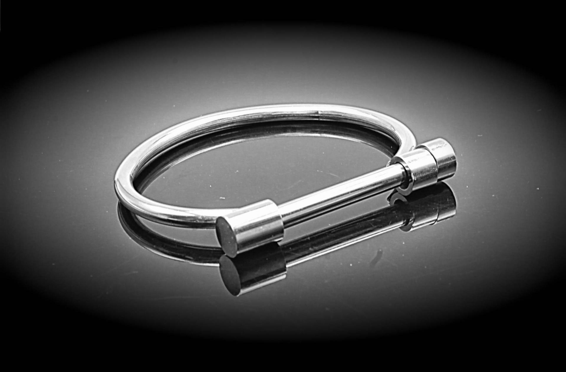 Shackle Bangle Stainless Steel