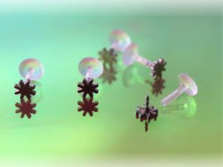 Bioplast Labret with Stainless Steel Sun Design
