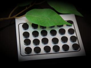 Magnetic Fake Ear Plugs - Sleek Black Circle Plugs