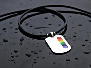 Rainbow Tag Stainless Steel & Leather Choker